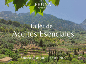 Taller Espelmes aromàtiques – 28 de juny de 2025 (dissabte) (copia)