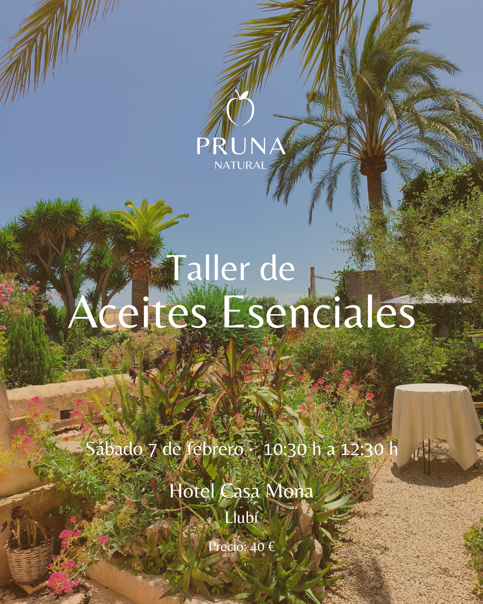 Taller Aceites Esenciales - 7 Febrero 2026