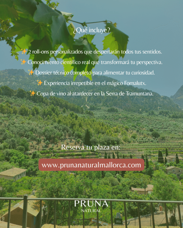 Taller Aceites Esenciales - 26 Julio 2025 - Imagen 2
