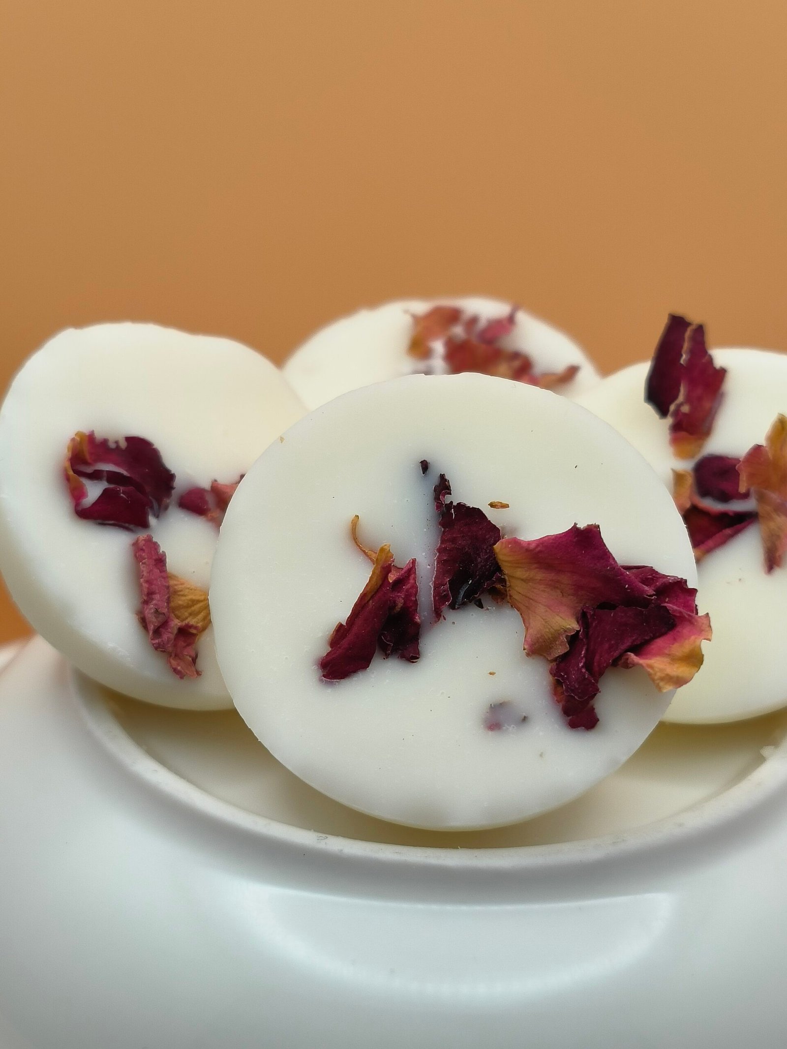 PRUNITO 2 - Imagen 2