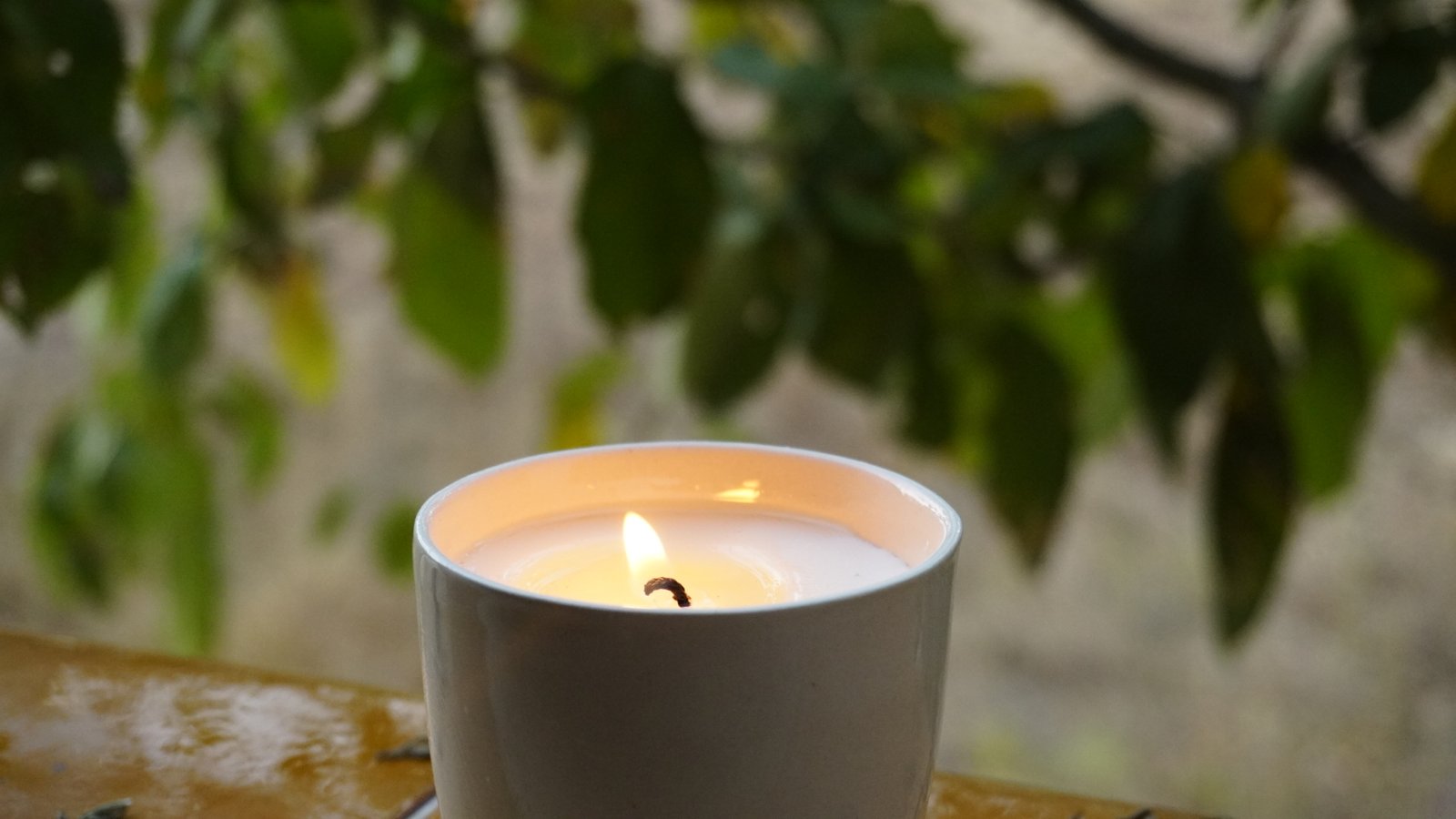 Bono Regalo | Taller Formulación Velas aromáticas - Imagen 4