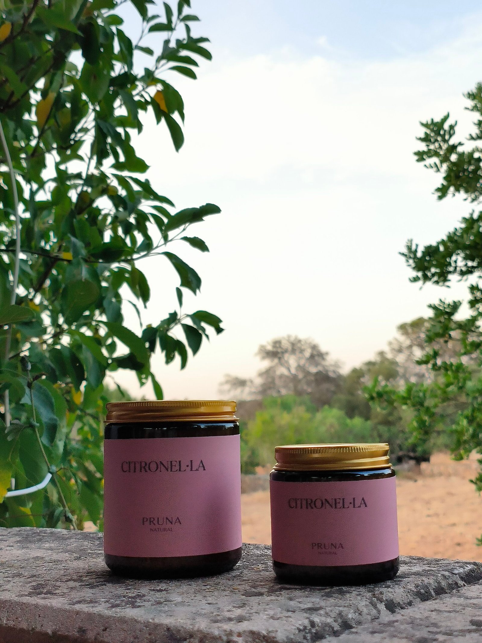 Citronel·la - Imagen 3