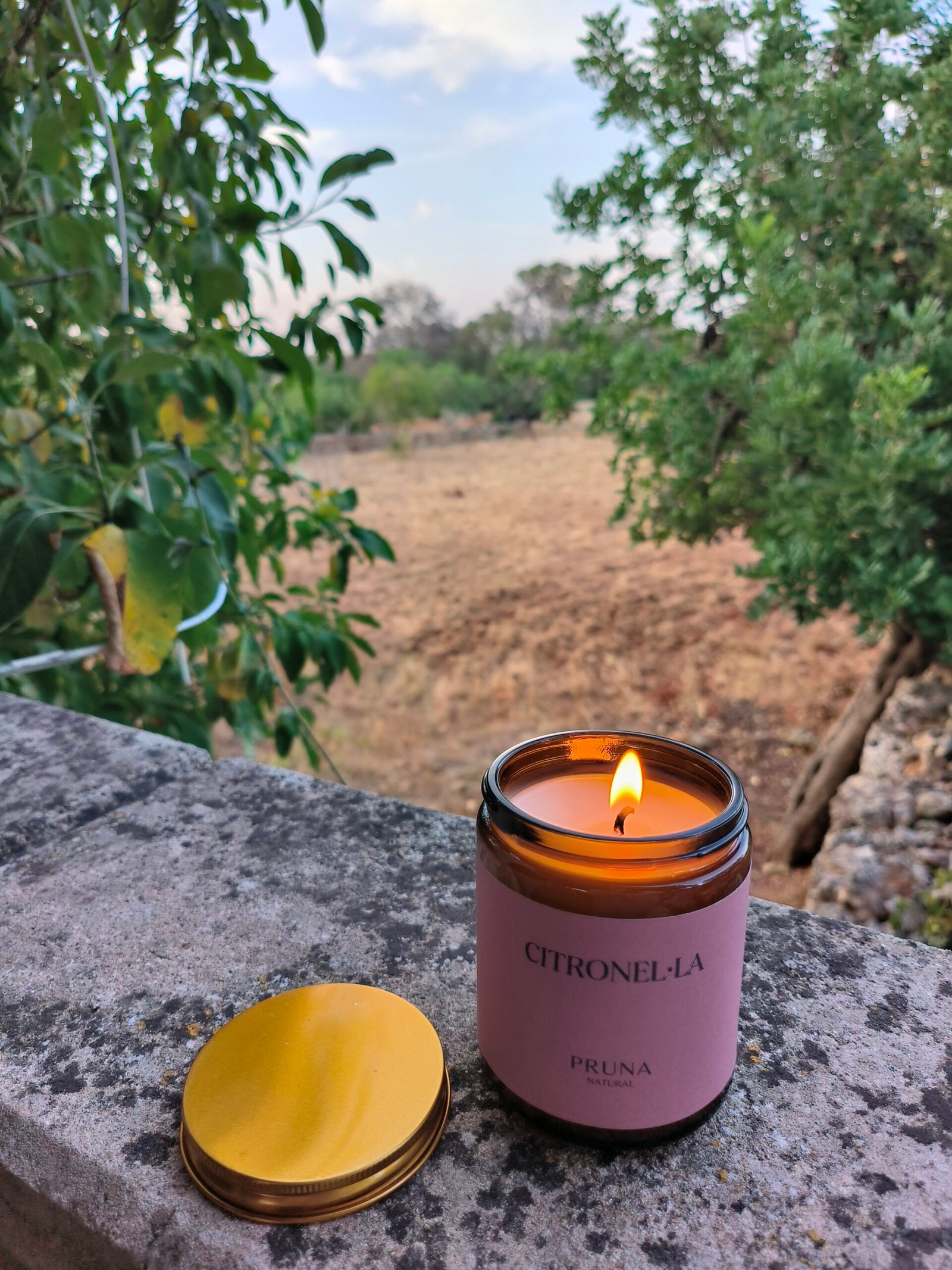 Citronel·la