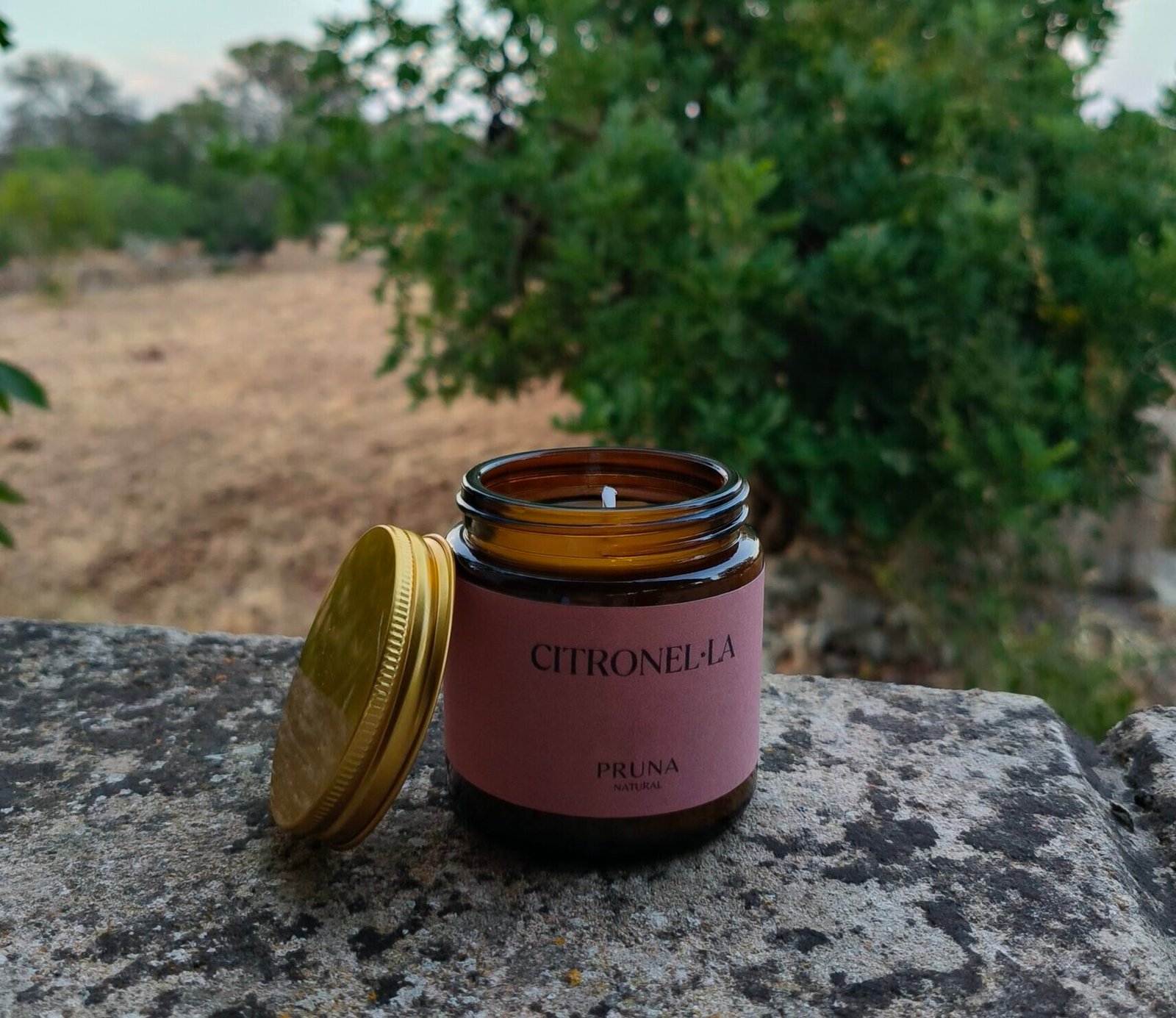 Citronel·la - Imagen 4