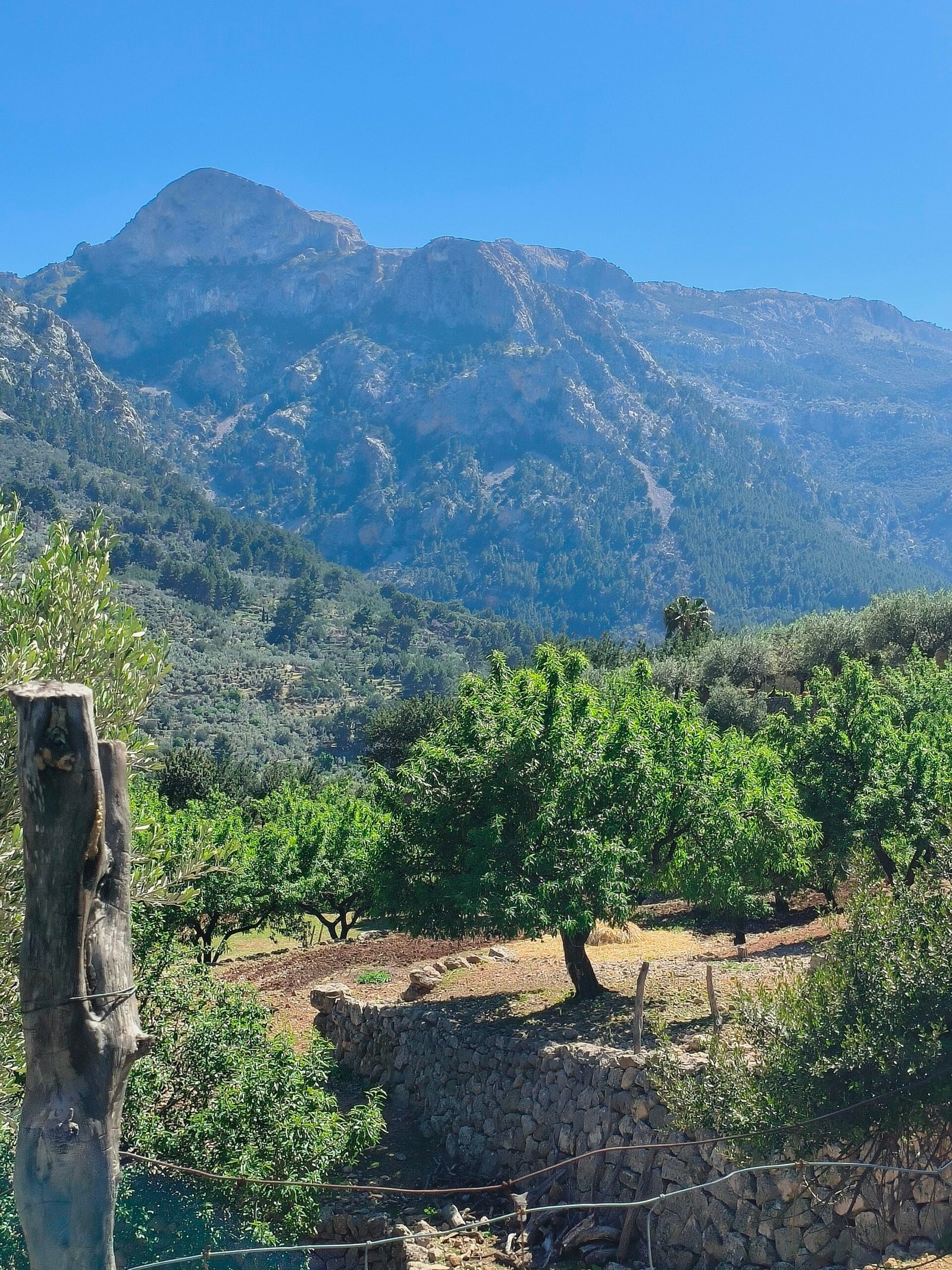 montaña 1
