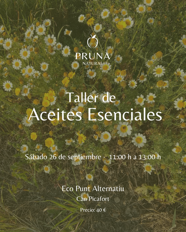 taller aceites esenciales