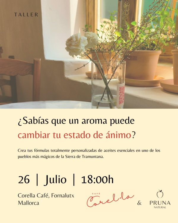 taller aceites esenciales